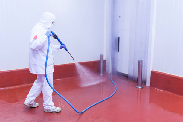 Best Winterizing Services  in North Catasauqua, PA